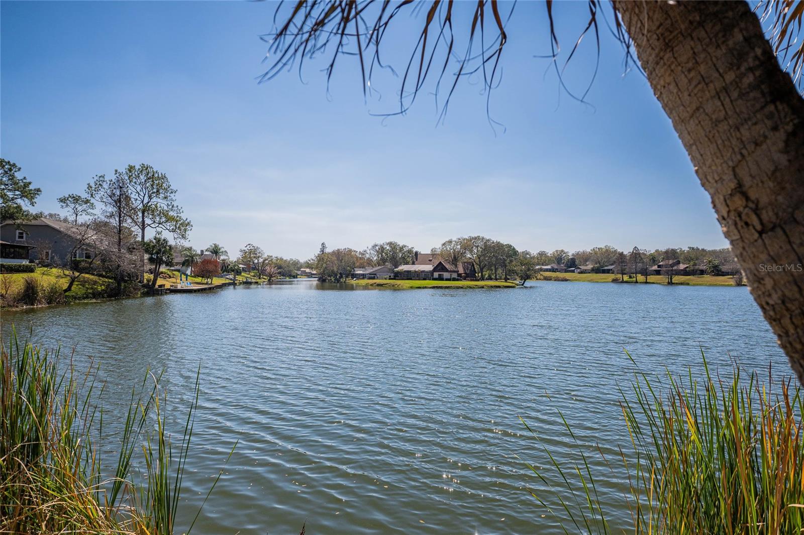 CANYON LAKE VILLAS - Residential