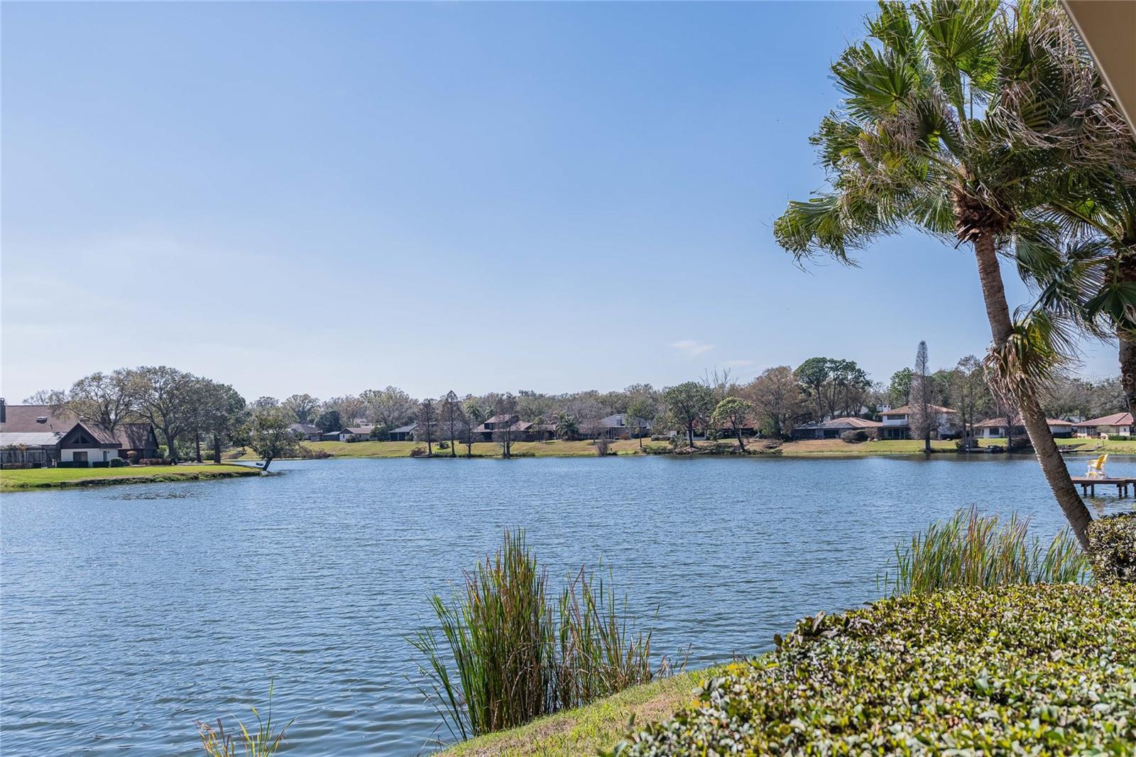 CANYON LAKE VILLAS - Residential