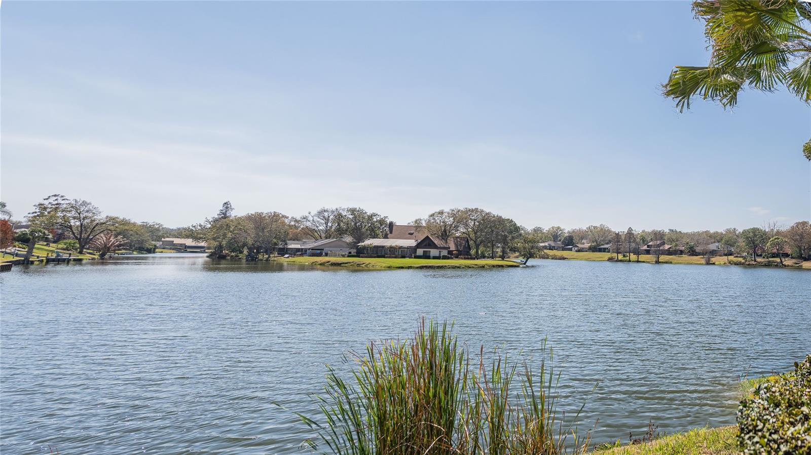 CANYON LAKE VILLAS - Residential