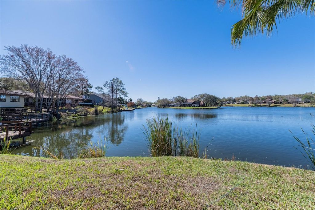 Photo of 1101 Rolling Woods Lane, Lakeland, FL 33813 (MLS # L4959653)