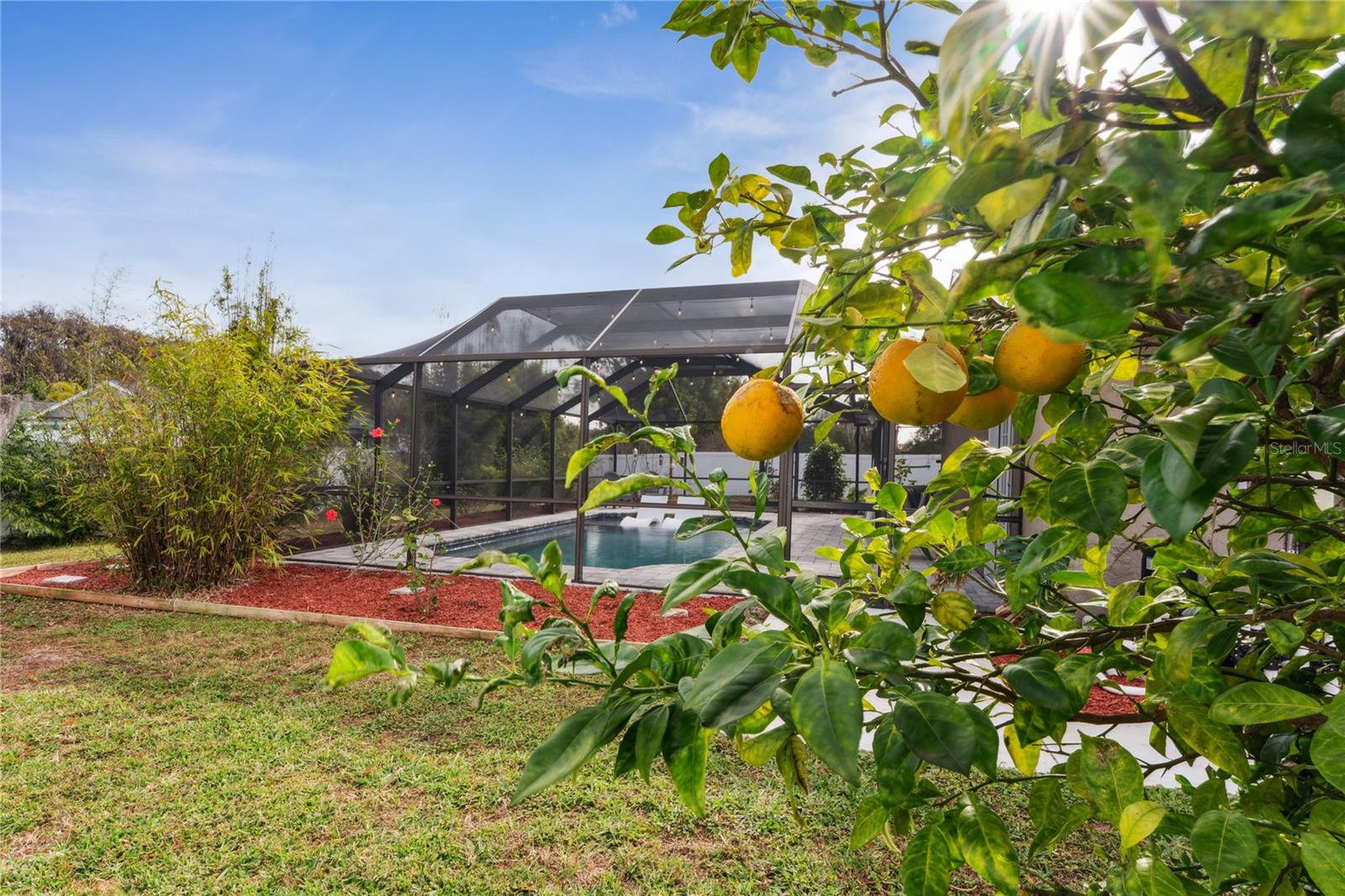 MANORS OF FOREST LAKES THE - Residential