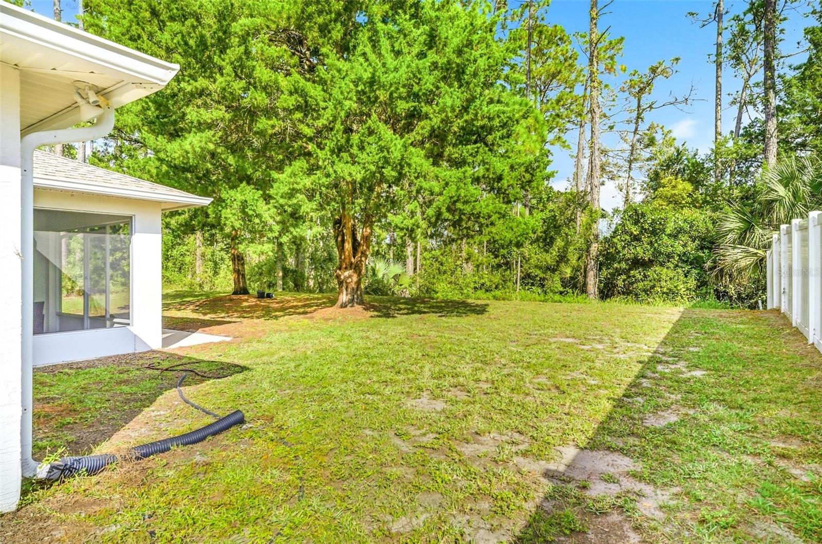 PALM COAST SEC 31 - Residential