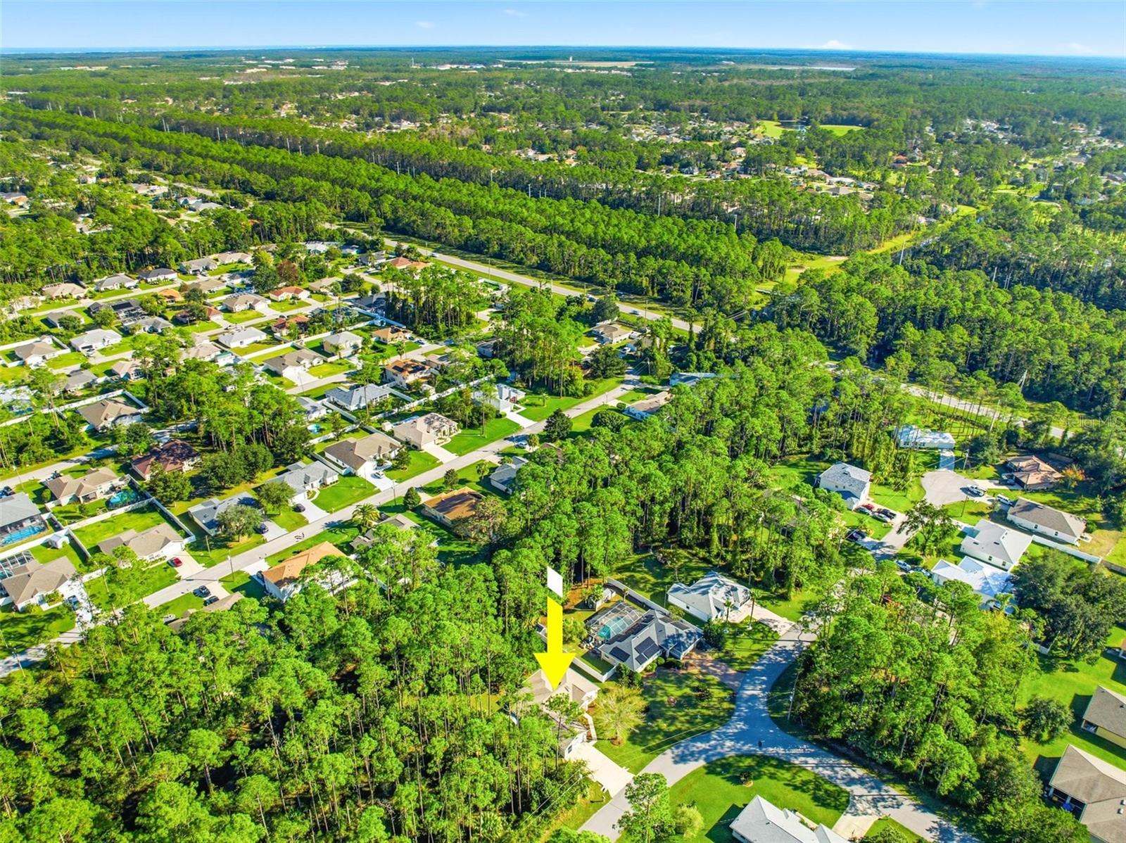 PALM COAST SEC 31 - Residential