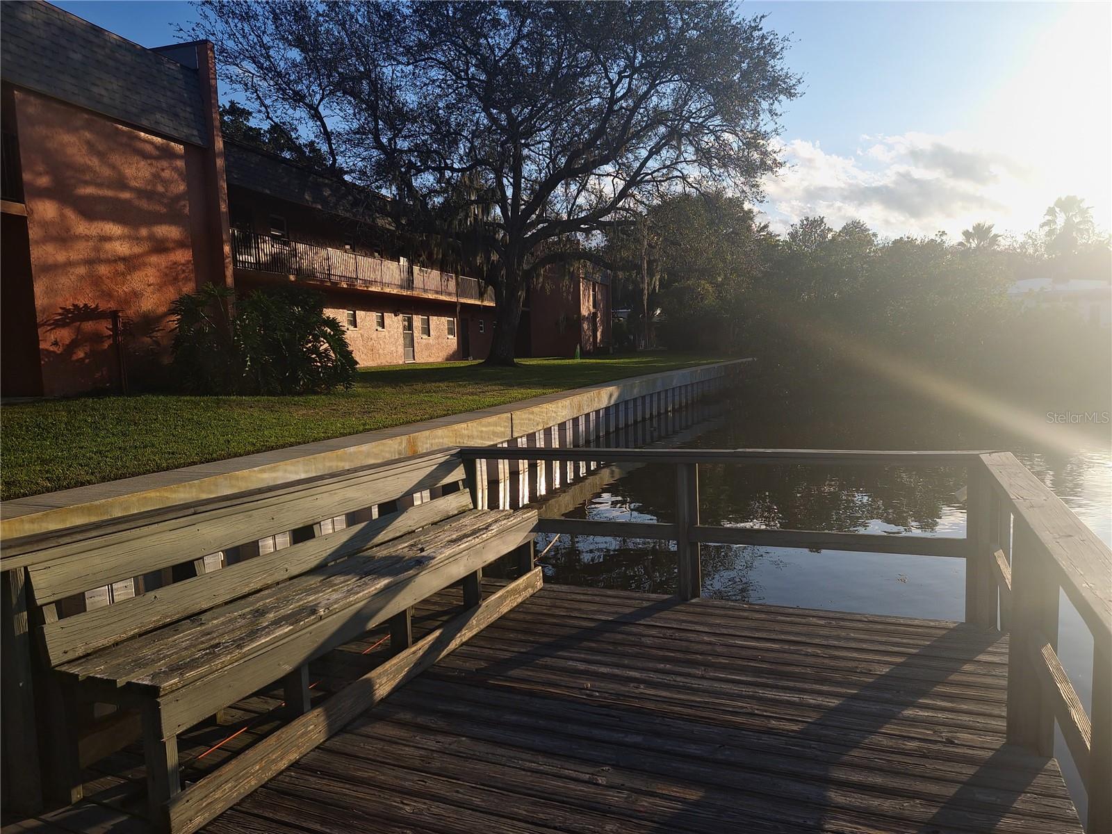 COVE SPGS CONDO - Residential Lease