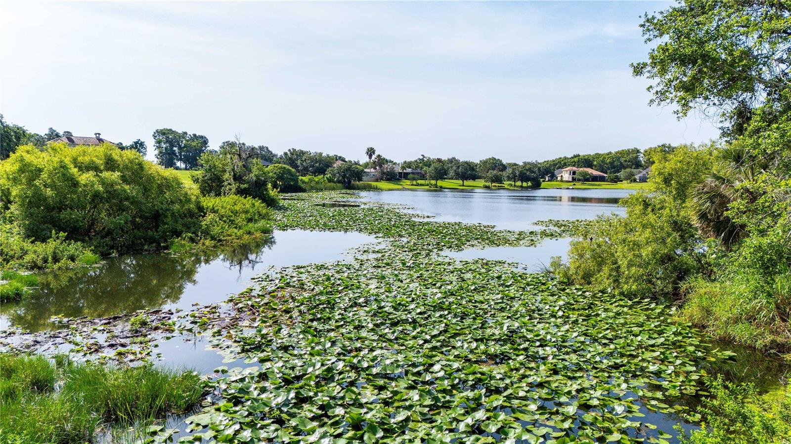 LAKE JOVITA GOLF & COUNTRY CLUB PH 01 - Land