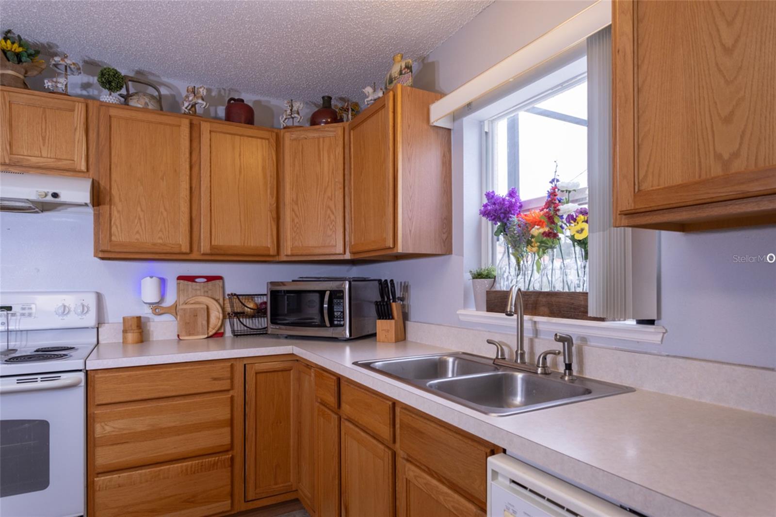 PINE GROVE SEC 26 PALM COAST - Residential