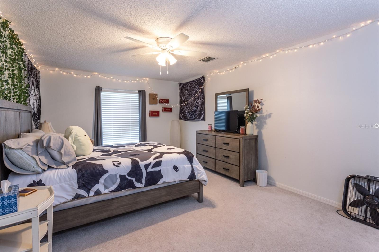 PINE GROVE SEC 26 PALM COAST - Residential