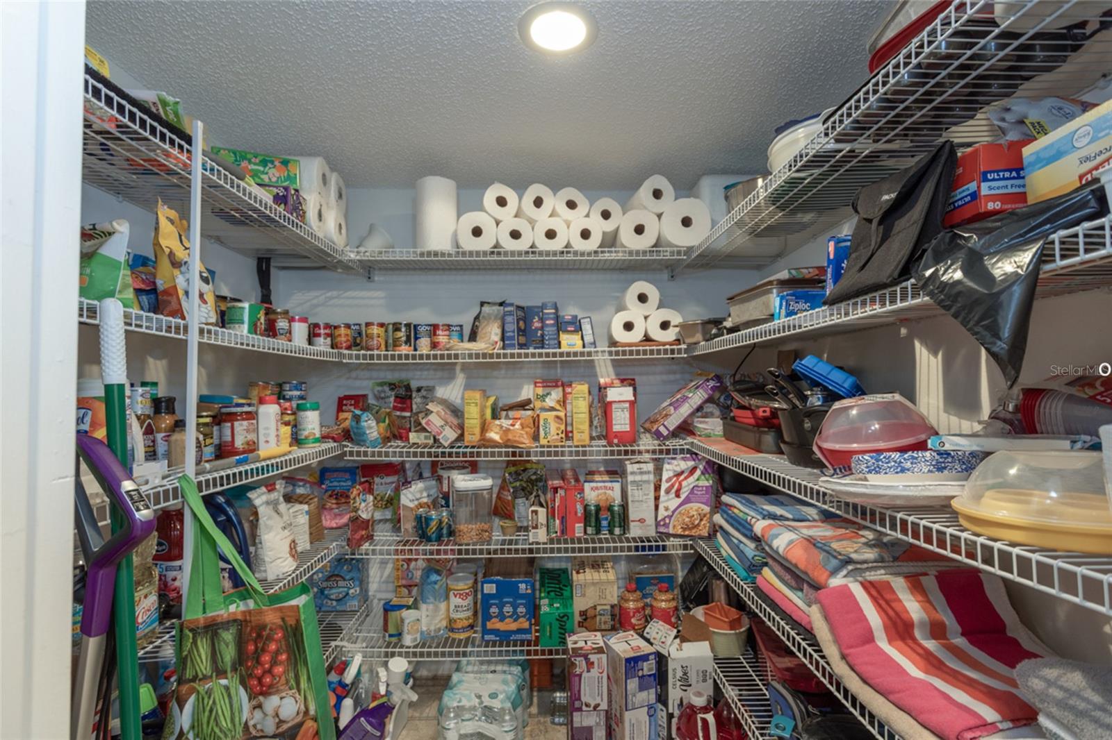 PINE GROVE SEC 26 PALM COAST - Residential