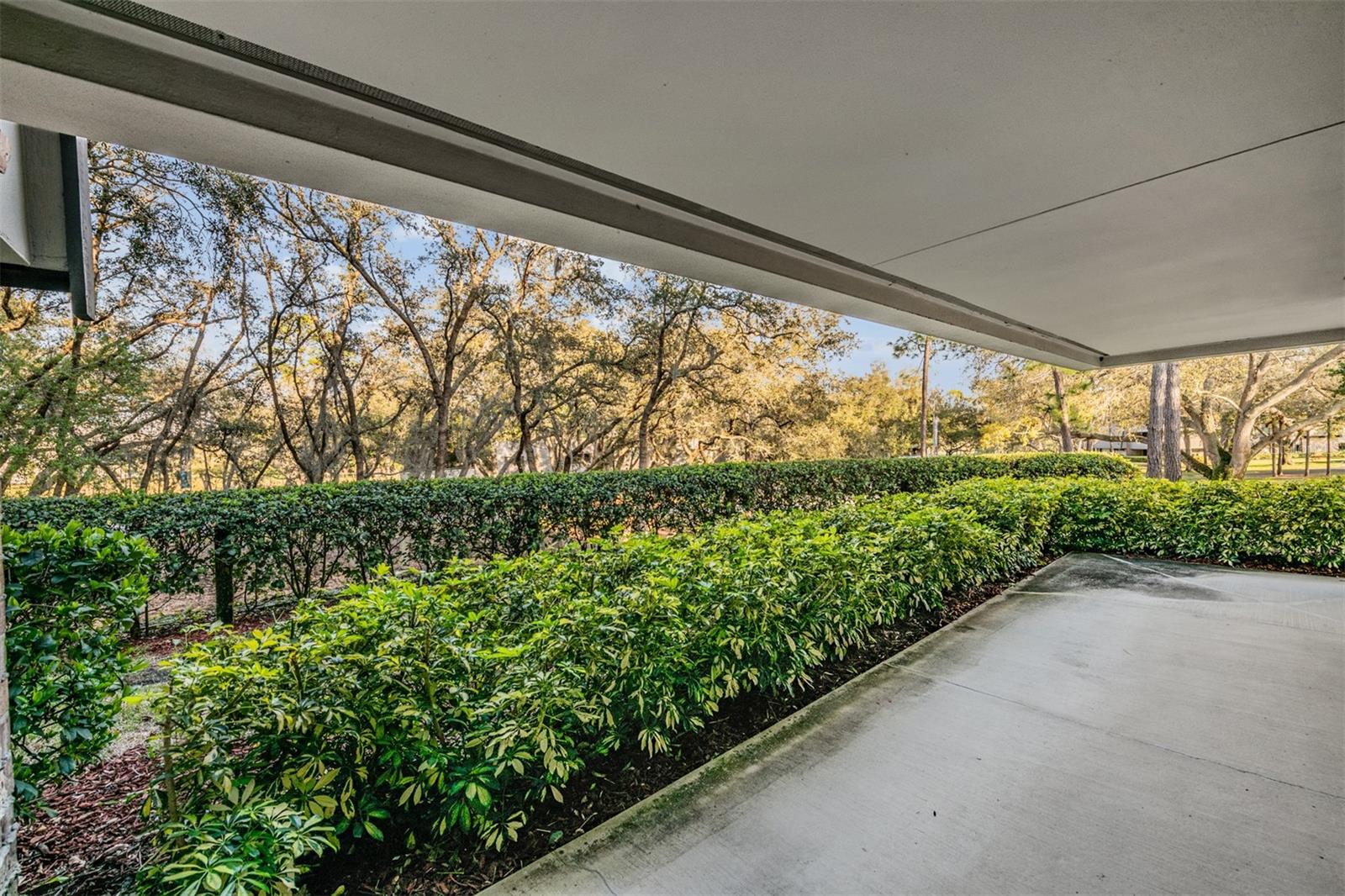 INNISBROOK - Residential