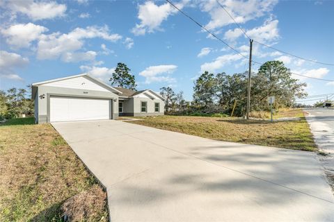 Photo of 1606 Pickerel Court, Kissimmee, FL 34759 (MLS # O6351836)