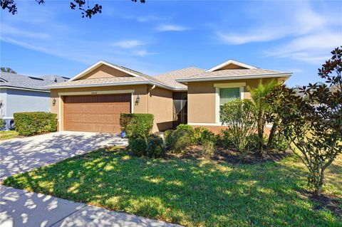 11022 RUNNING PINE DRIVE RIVERVIEW FL 33569