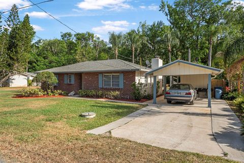 1877 RIVEREDGE DRIVE ASTOR FL 32102