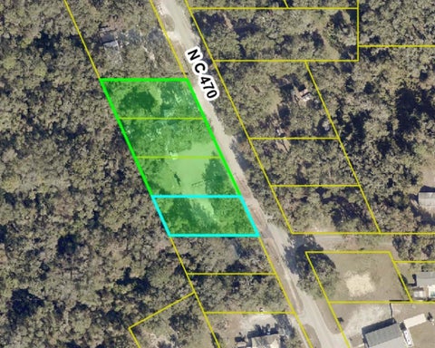 Tiny photo for 2396 N C 470, Lake Panasoffkee, FL 33538 (MLS # G5115516)