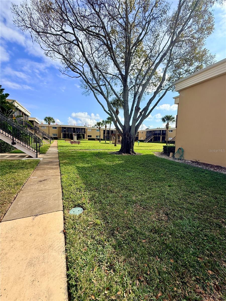 ASHWOOD CONDO - Residential