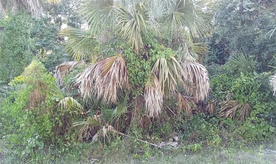 Situated in the heart of North Port, this lot measures 85 by 96 feet, is located outside the flood zone, with no wetlands or protected species on site. Seller financing available, $1,000 Down Payment and $192 Monthly Payment. Low down payments, flexible terms up to 10 years, and fixed monthly payments. Quick approval with no banks. Call us to learn more about our financing options. This lot is shovel-ready and primed for development, Sarasota County – Land for sale by owner in North Port. Centrally located, about 10 minutes to Heron Creek Golf and Country Club, Cranberry Elementary School, and Port Charlotte Town Center mall. 15 minutes to North Port Warm Mineral Springs. Peace and Myakka Rivers are nearby, where you can enjoy great fishing and boating. 20 minutes to the Charlotte Harbor where you can find miles of sand beaches. 30 minutes to Casperson Beach. Less than an hour from Fort Myers and 1.5 hours to Tampa.
