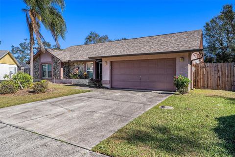 A home in BRANDON