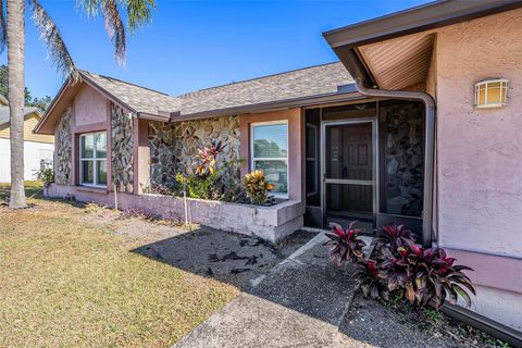 A home in BRANDON