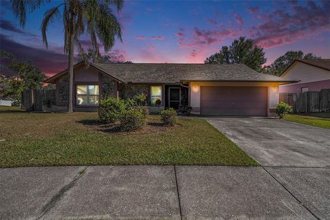 A home in BRANDON