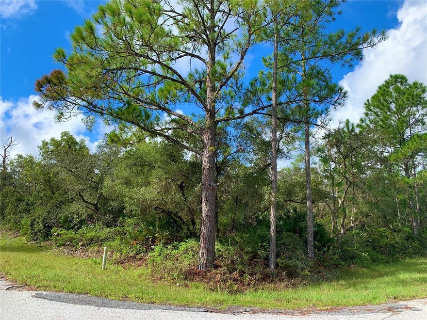 Corner acre parcel located in Equestrian Royal Trails Subdivision. No time limit to build, bring your own builder or one can be recommended. Once you build, you may park your RV and Boat. Access to Lake Norris, community park and playground with many activities throughout the year. Come drive, evaluate, and make it your next building site. The minimum square footage is 1,200 under air, the HOA is $65 a YEAR. You can build your home facing Vitex Ave or Vitex Court. A Deed restrictive community, no modular, mobile or manufacture homes allowed.