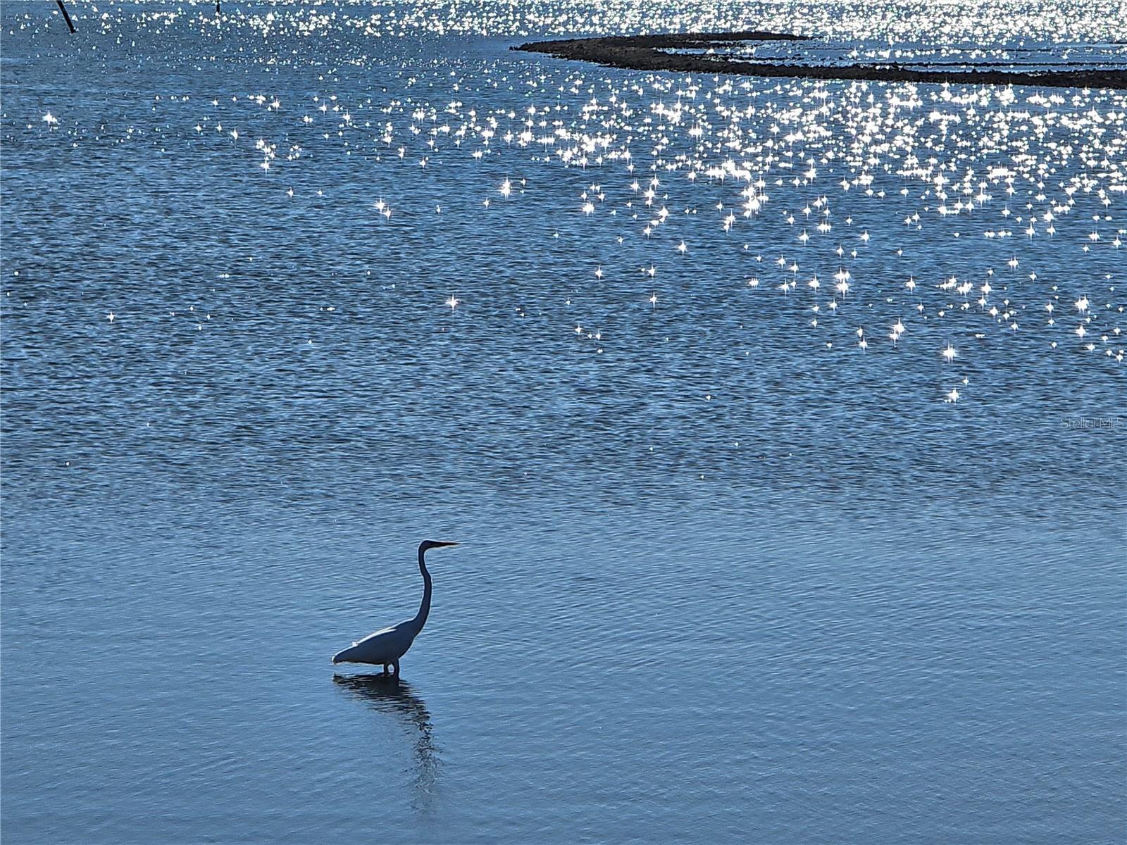 TRAILER ESTATES - Land