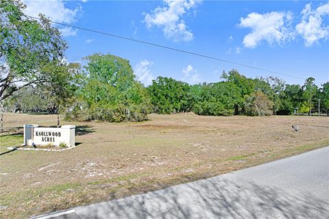 Photo of 32505 Greenwood Loop, Wesley Chapel, FL 33545 (MLS # TB8469372)
