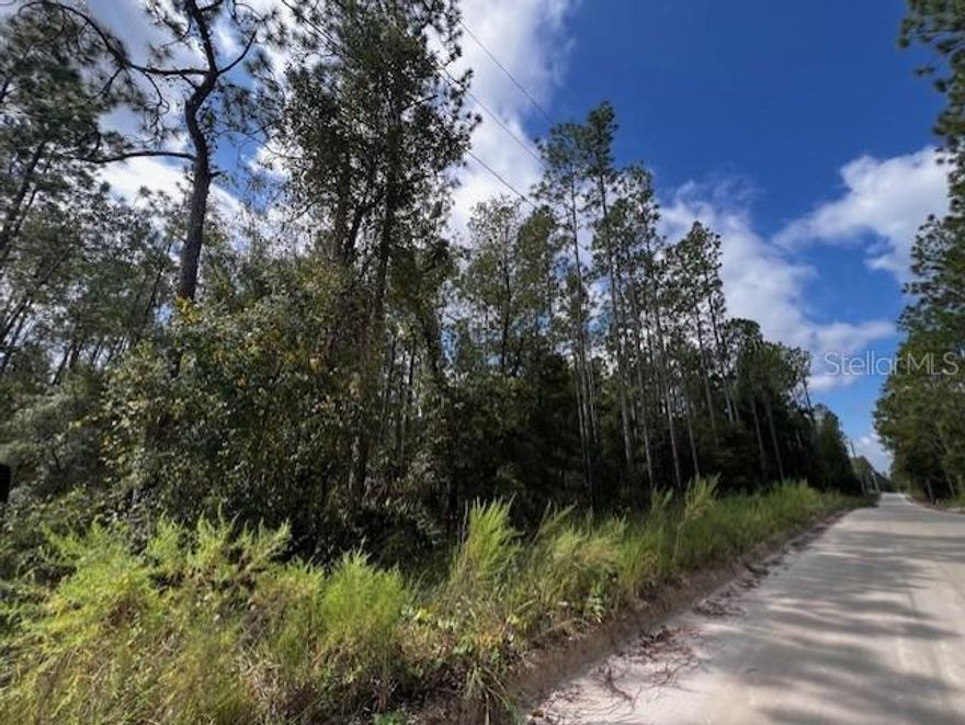2.5 ACRES of naturally wooded property just north of BELL! No deed restrictions and no HOA. Come build or place your dream home here! Close to the Suwannee and Santa Fe Rivers, along with several natural springs. Located in Gilchrist County with low property taxes and "A" rated schools. Call today to learn more!