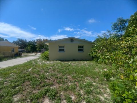 A home in MOUNT DORA