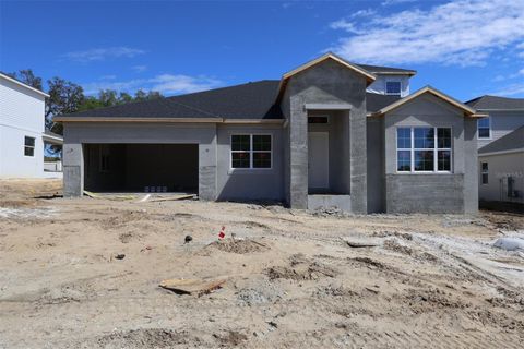 3326 WOLF LAKE AVENUE APOPKA FL 32712