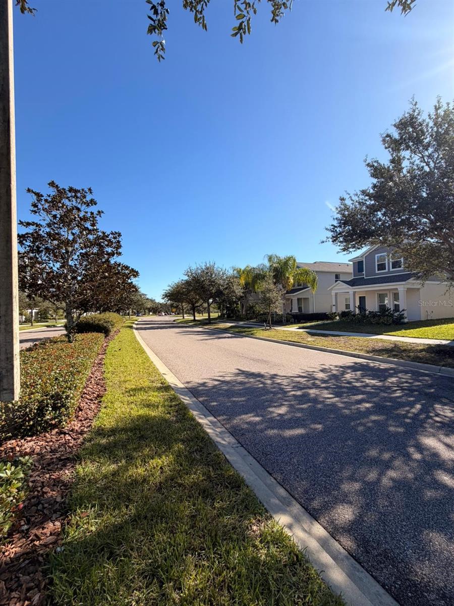 STOREY GRV PH 1A-1 - Residential Lease