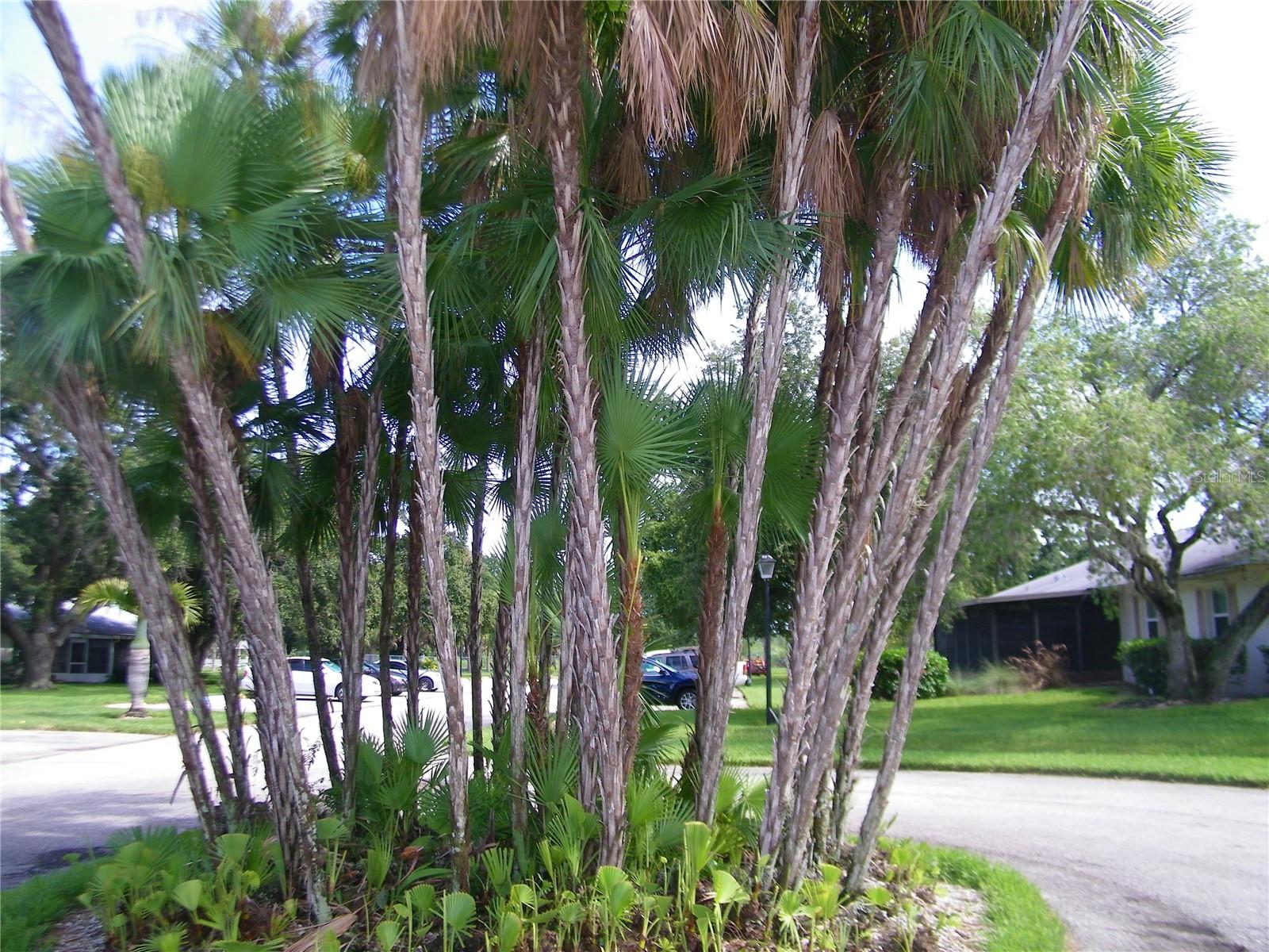 WEST SHORE VILLAGE ONE - Residential