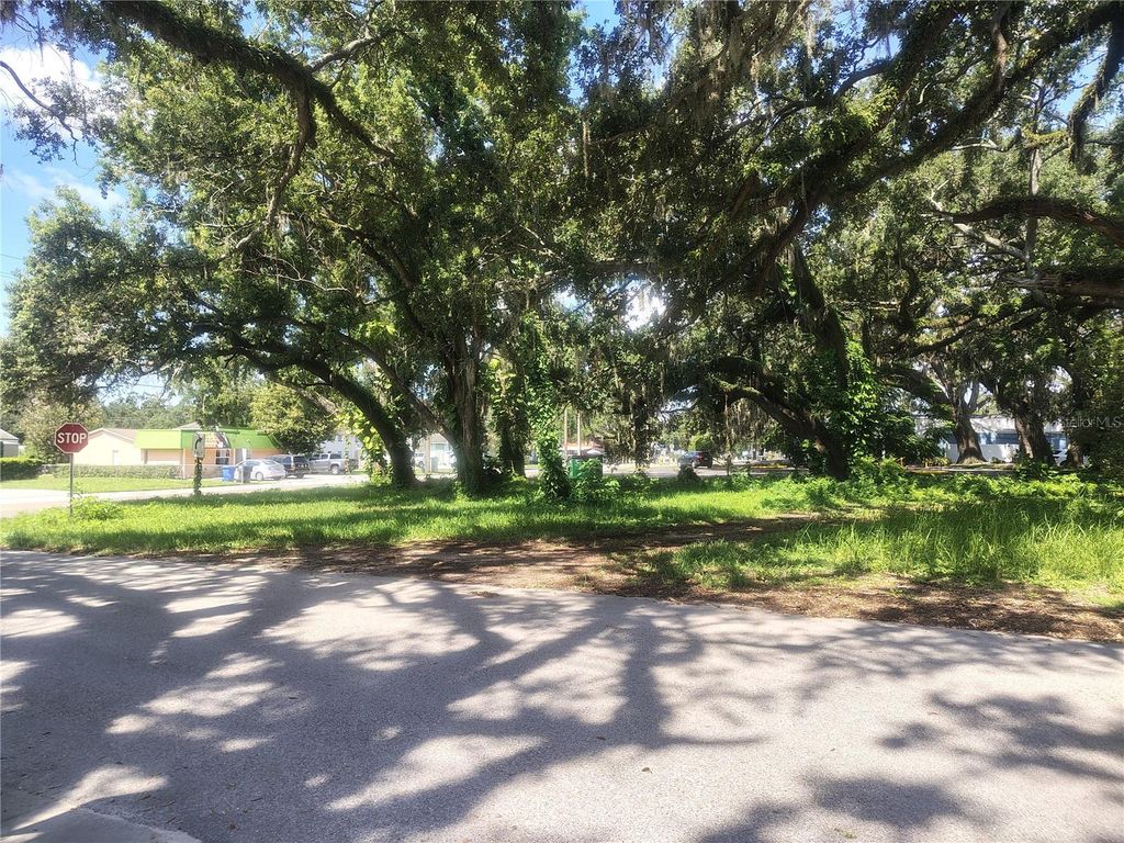 Photo of 113 E Robertson Street, Brandon, FL 33511 (MLS # TB8411713)