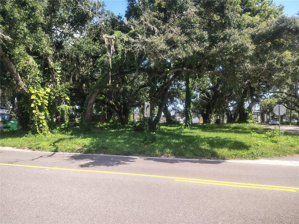 Photo of 113 E Robertson Street, Brandon, FL 33511 (MLS # TB8411713)