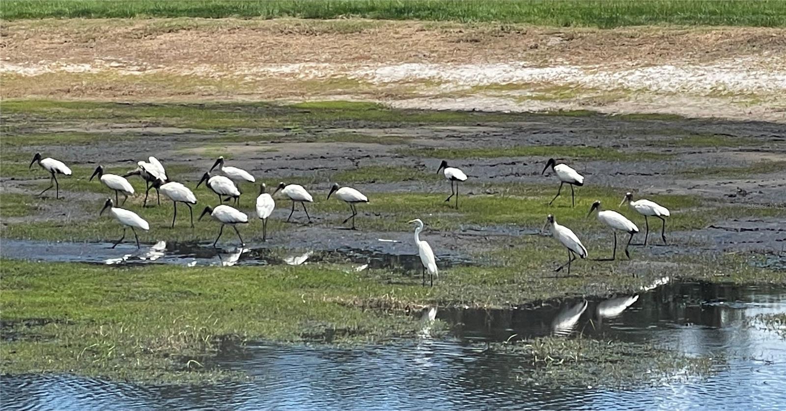 ACREAGE - Residential