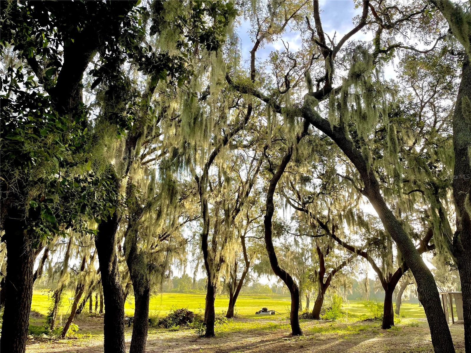 ACREAGE - Residential