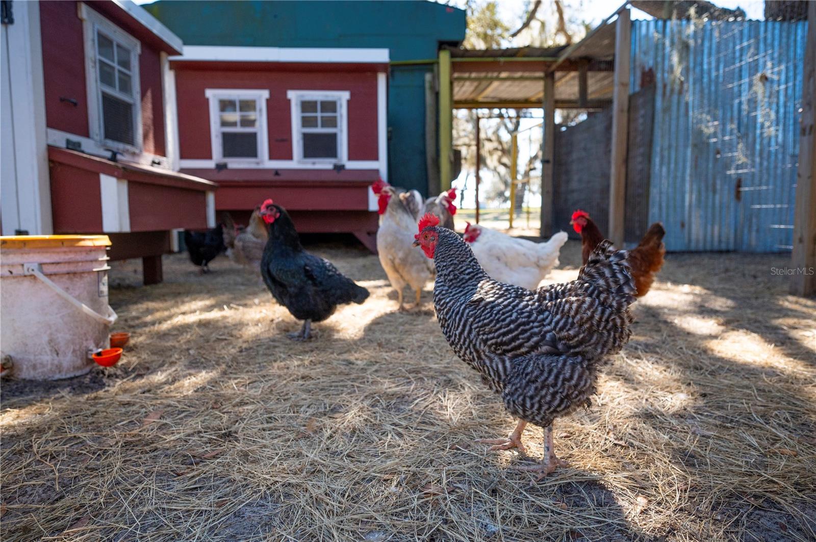 ACREAGE - Residential