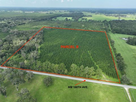 Photo of Parcel B NW 160th Avenue, Morriston, FL 32668 (MLS # OM685975)