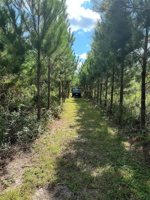 Tiny photo for Parcel B NW 160th Avenue, Morriston, FL 32668 (MLS # OM685975)