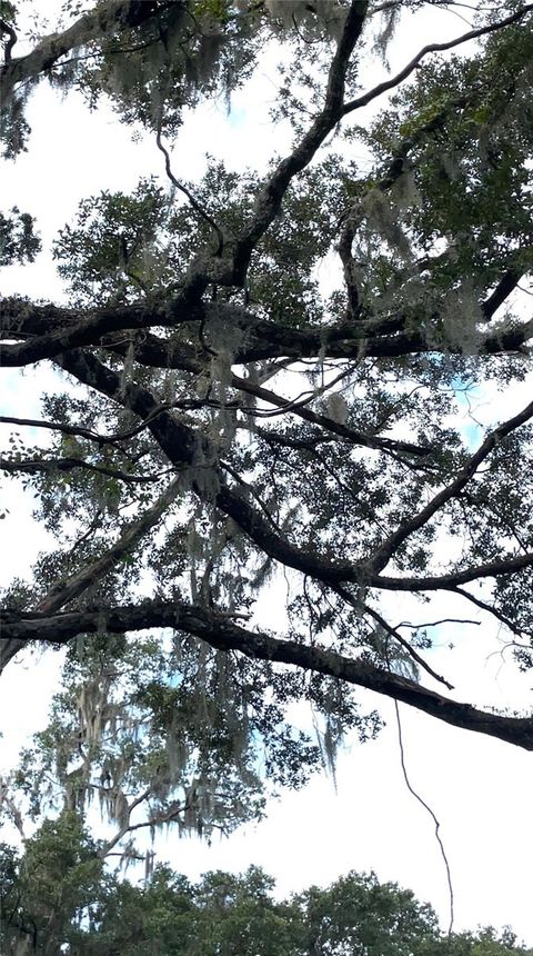 Tiny photo for Parcel B NW 160th Avenue, Morriston, FL 32668 (MLS # OM685975)