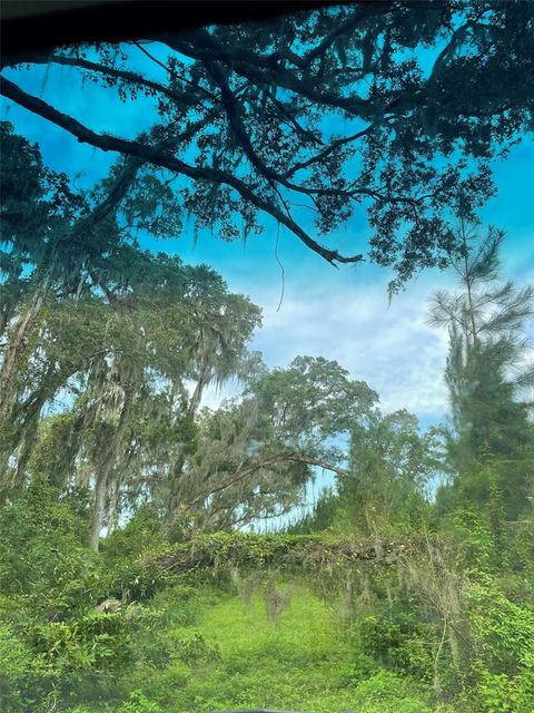 Tiny photo for Parcel B NW 160th Avenue, Morriston, FL 32668 (MLS # OM685975)