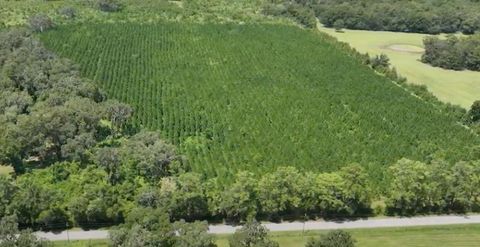 Tiny photo for Parcel B NW 160th Avenue, Morriston, FL 32668 (MLS # OM685975)