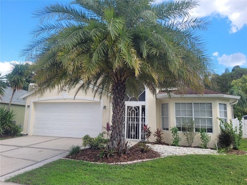 Photo of 28935 Stormcloud Pass, Wesley Chapel, FL 33543 (MLS # TB8544540)
