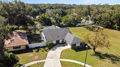 A home in ORLANDO