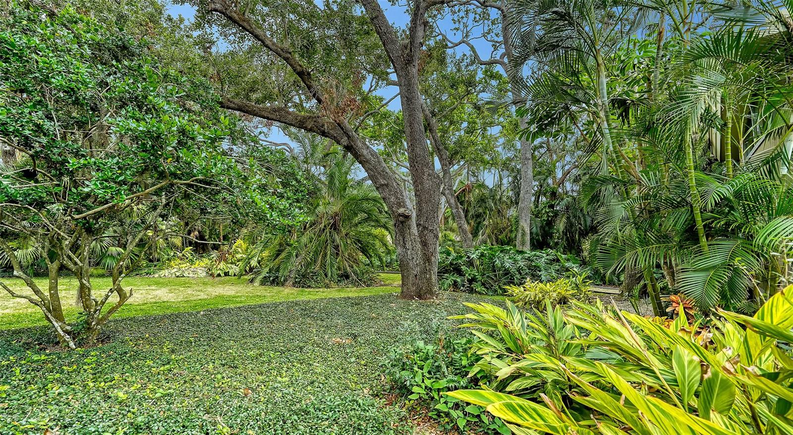 KIMLIRA - Residential