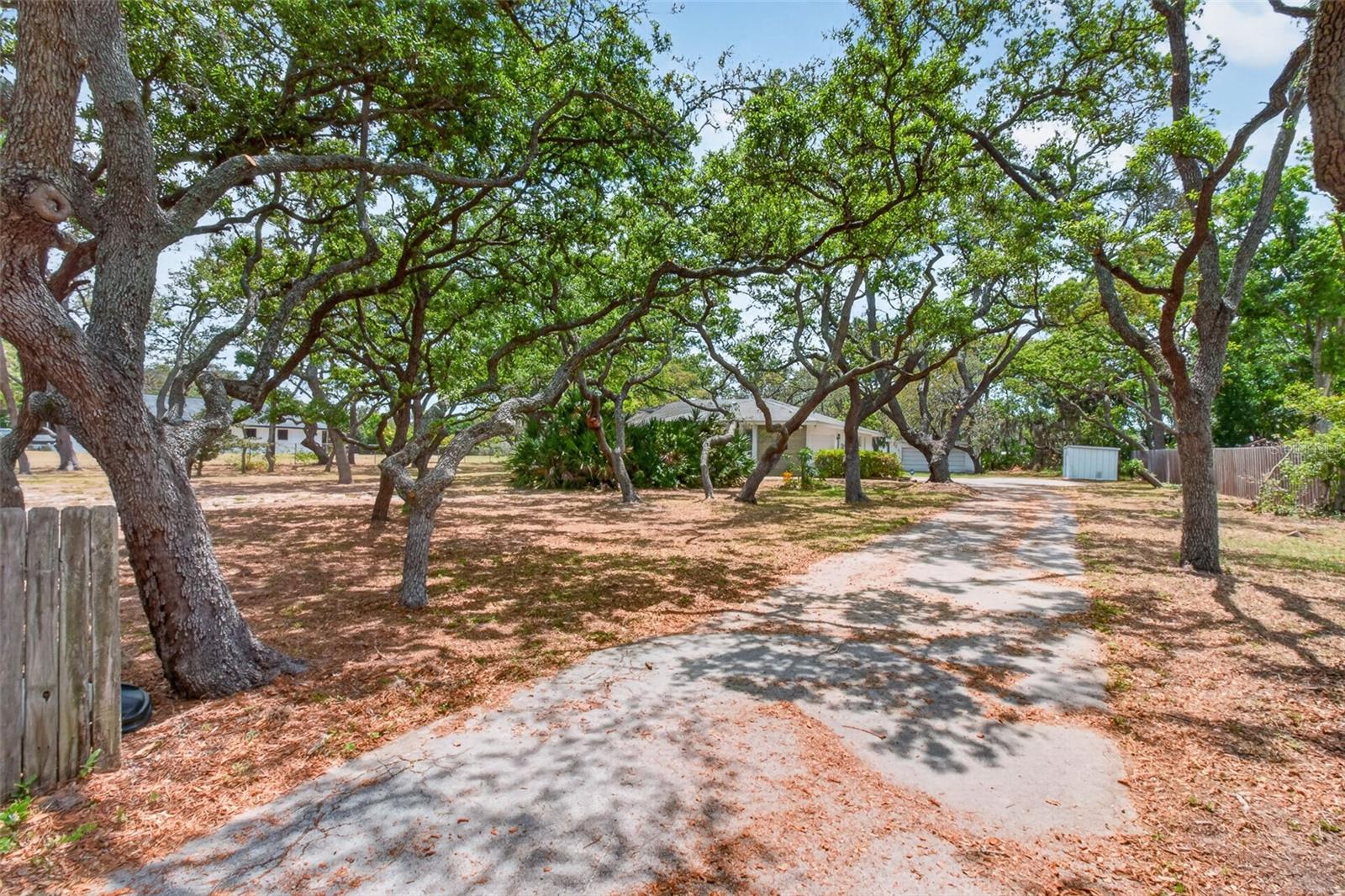 DREWS REP - Residential