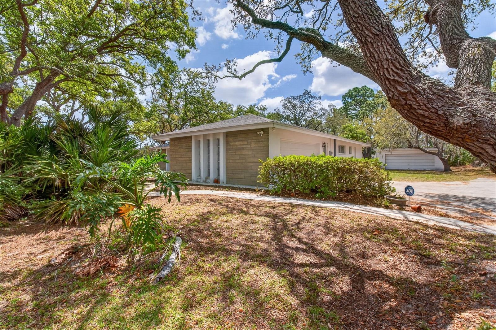 DREWS REP - Residential