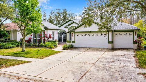 Single Family Residence in TAMPA FL 10206 SHADOW BRANCH DRIVE.jpg