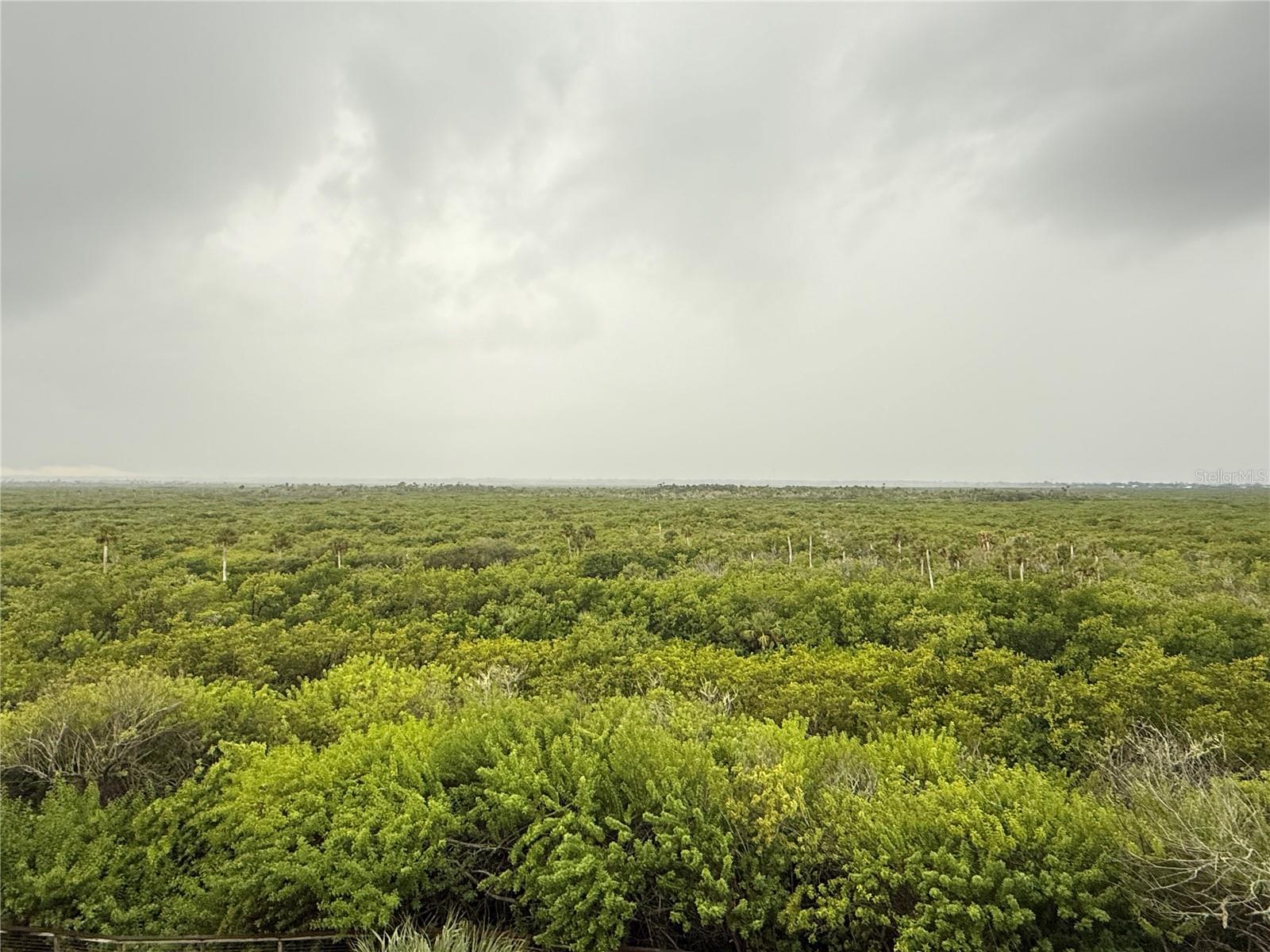 OCEAN WALK/NEW SMYRNA BEACH - Residential
