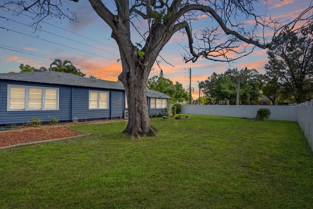 EUCLID GROVE - Residential