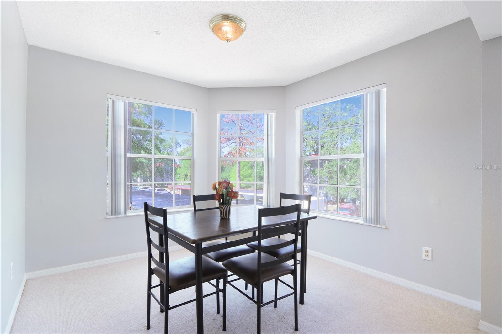 900 NORTHERN DANCER 204