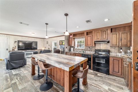 Tiny photo for 14181 SE 211th Ct, Umatilla, FL 32784 (MLS # OM713859)